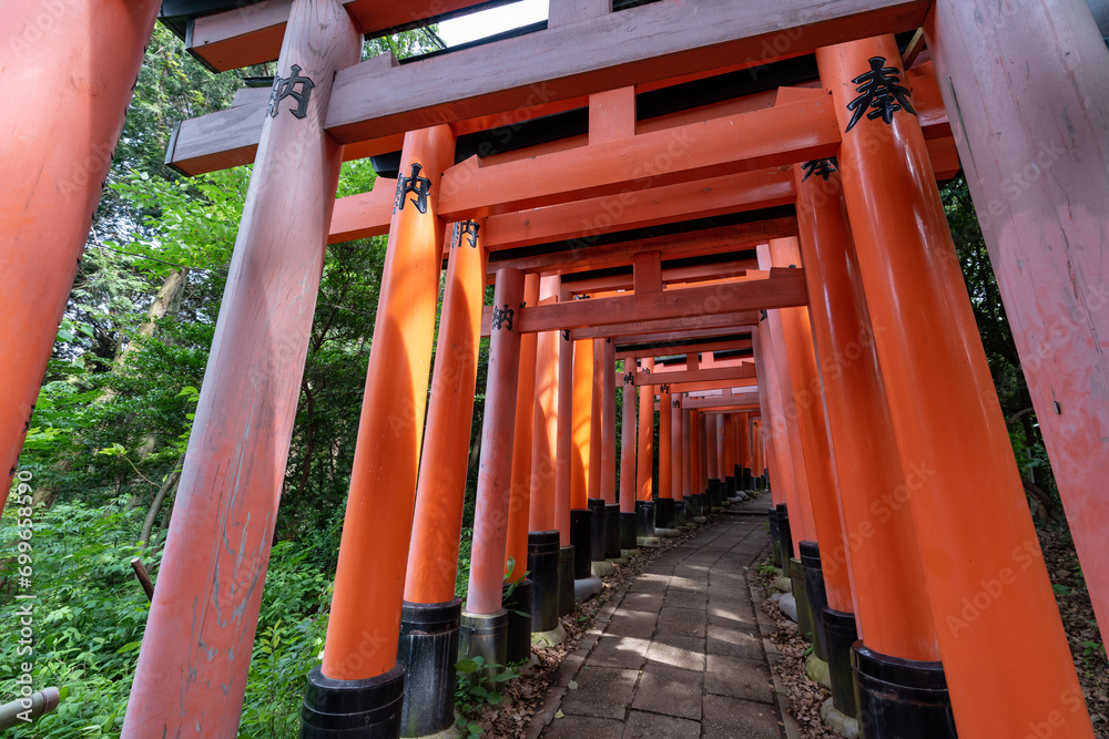 Red Torii gates in Fushimi Inari shrine