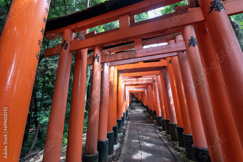 Red Torii gates in Fushimi Inari shrine