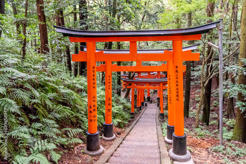 Torii gates in Fushimi Inari Shrine photo