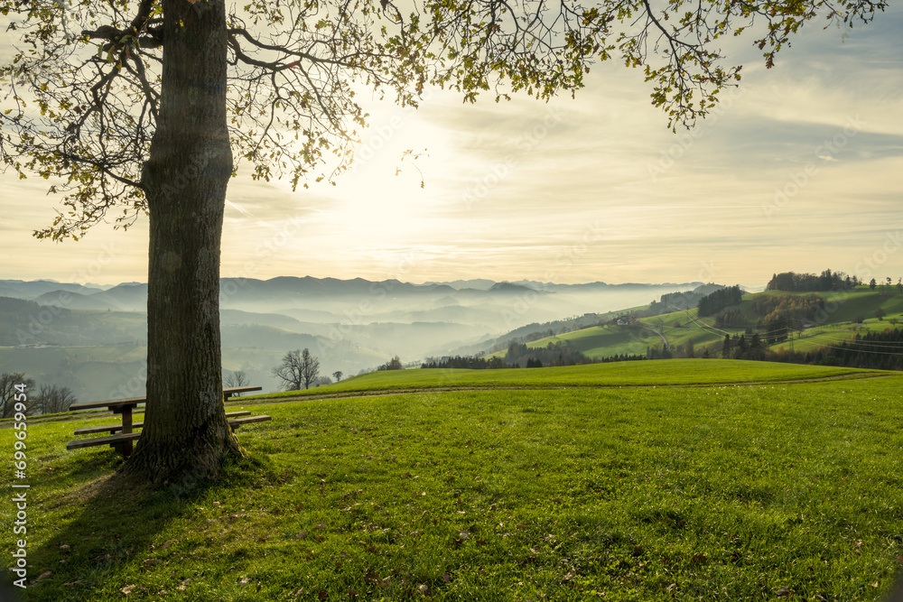 Obraz premium wafts of fog in the mountains of Austria