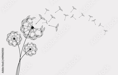 Fototapeta Naklejka Na Ścianę i Meble -  Flying dandelion seeds, vector icon. Vector isolated decoration element from scattered silhouettes.