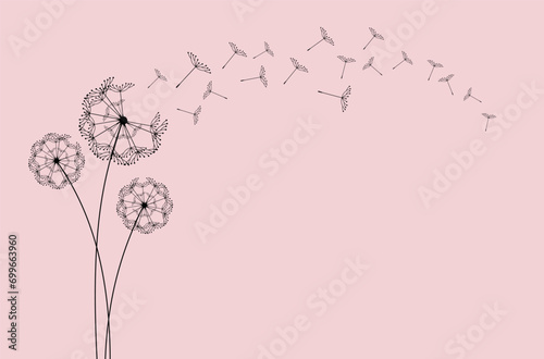 Flying dandelion seeds, vector icon. Vector isolated decoration element from scattered silhouettes.