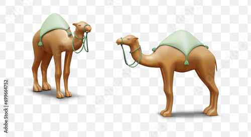 Vector 3D dromedary, front and side view. Templates for design of caravans. Travels, excursions, transportation in desert. Color camel with saddle and bridle