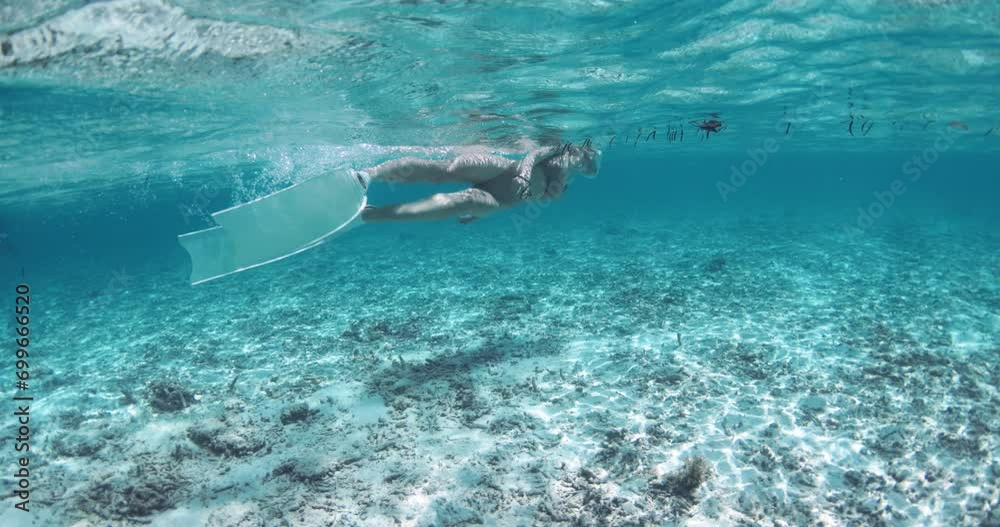Woman swimming and exploring shallow waters underwater. Snorkeling in tropical clear ocean Woman swimming and exploring shallow waters underwater. Snorkeling in tropical clear ocean