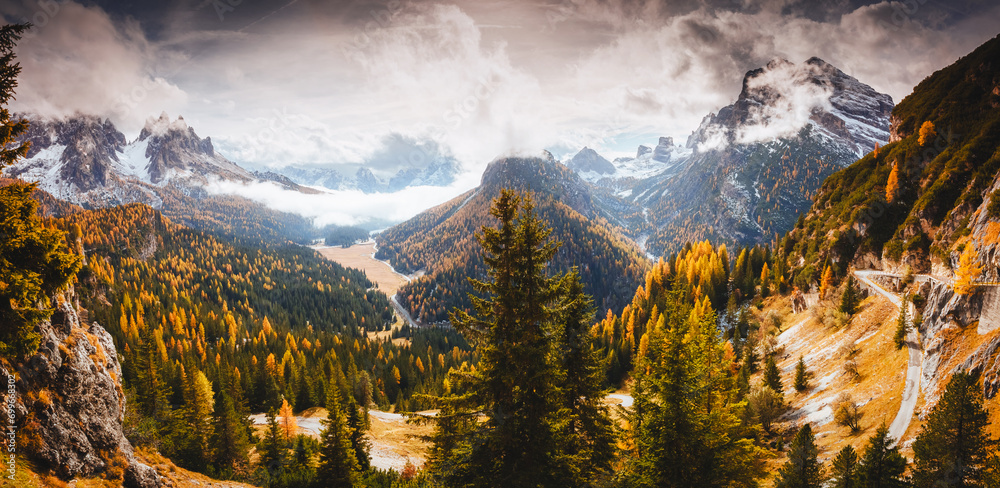 Perfect top view of yellow larch trees in a mountain valley. South Tyrol, Italy, Europe. - obrazy, fototapety, plakaty 
