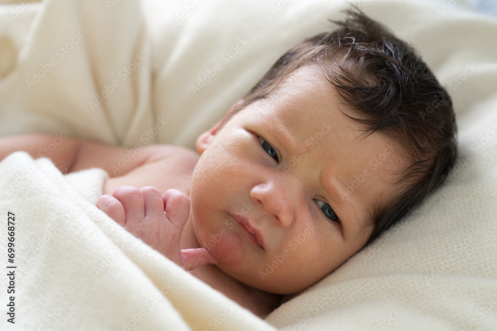 Portrait of a cute newborn baby boy under a white blanket.Close up Portrait of a cute newborn baby boy under a white blanket.Close up