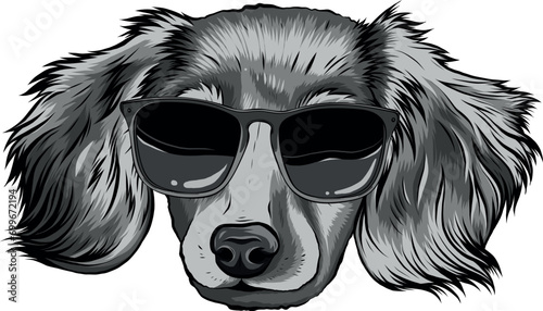 monochromatic Gordon setter dog breed with black sunglasses - isolated vector illustration