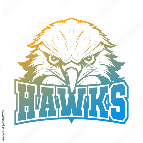 Hawks Illustration Clip Art Design Shape. Mascot Silhouette Icon Vector.
