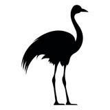 Ostrich black vector icon on white background