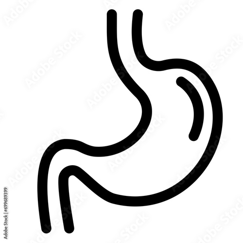 stomach on human body parts