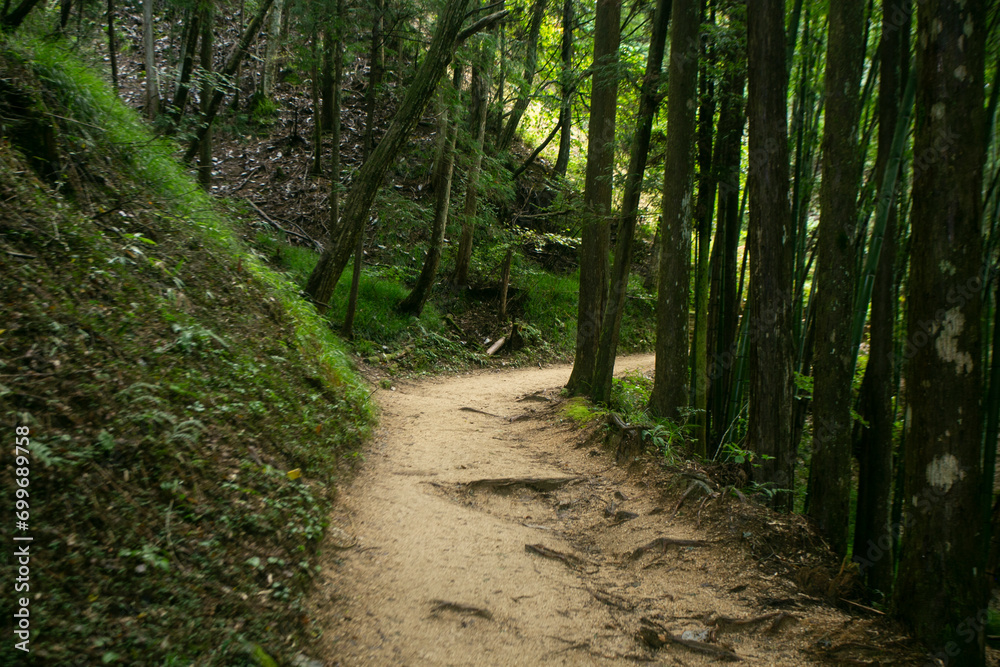 Walking the hiking road following the Nakasendo trail between Tsumago and Magome in Kiso Valley, Japan. Walking the hiking road following the Nakasendo trail between Tsumago and Magome in Kiso Valley, Japan.