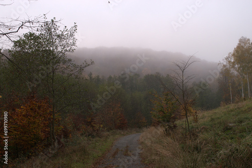 fog in the mountains