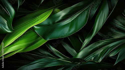 green leaves background