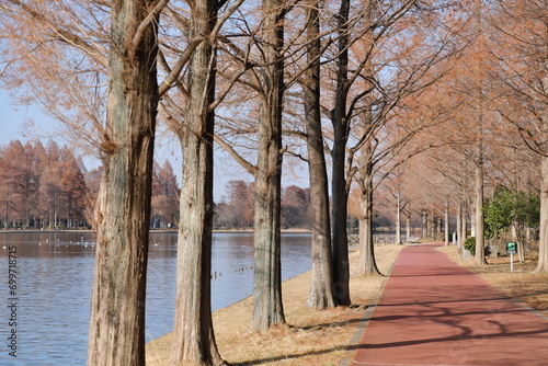 水元公園の景色　東京都葛飾区　View of Mizumoto Park Katsushika-ku, Tokyo