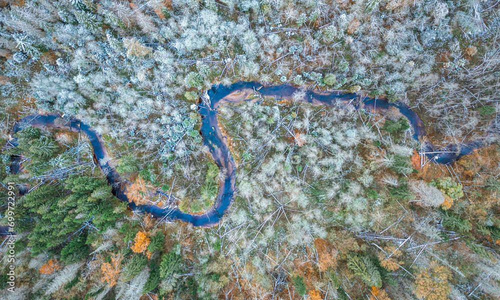 Top down drone shot of forest in autumn colors. River flowing through pine forest. Vibrant foliage. Earth texture.
