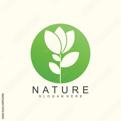 Leaf logo green colorful design illustrations