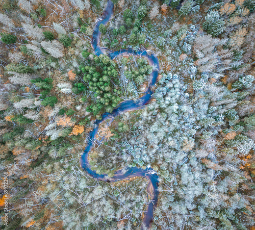 Obraz na płótnie Top down drone shot of forest in autumn colors. River flowing through pine forest. Vibrant foliage. Earth texture. w salonie