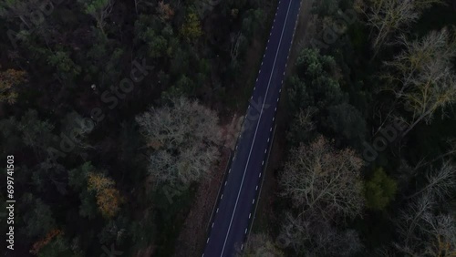 Plano aéreo cenital con dron de carretera en un bosque frondoso a la sombra. photo
