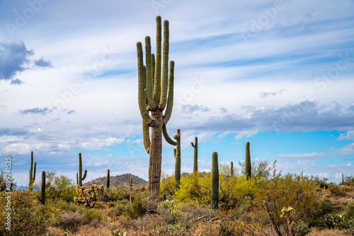 Rainy Weather in the Central Arizona Desert, America, USA. © jon manjeot