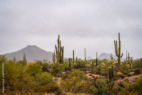 Rainy Weather in the Central Arizona Desert, America, USA.