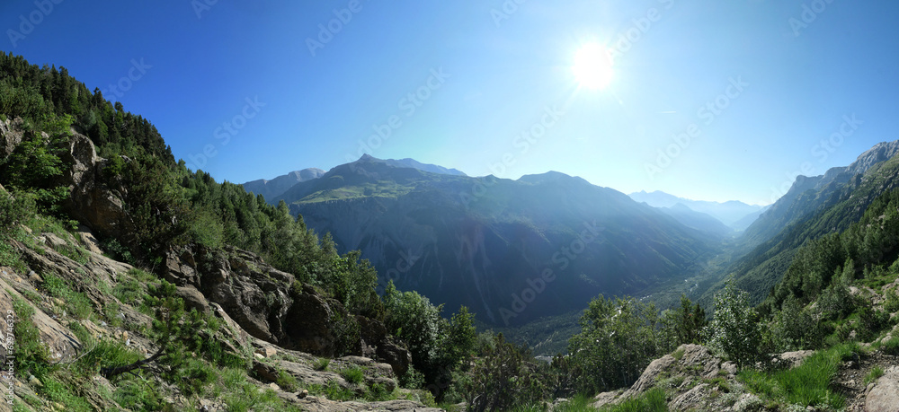 Fototapeta premium panorama Pineta
