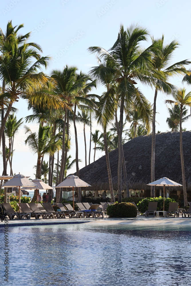 Obraz premium trees and pool