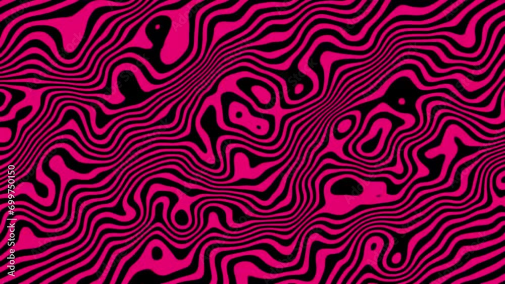 Animated wavy line motion graphic background. Seamless looped Abstract motion graphic, Abstract moving topographic map lines. Moving wavy line striped pattern black color background. Animated wavy line motion graphic background. Seamless looped Abstract motion graphic, Abstract moving topographic map lines. Moving wavy line striped pattern black color background.