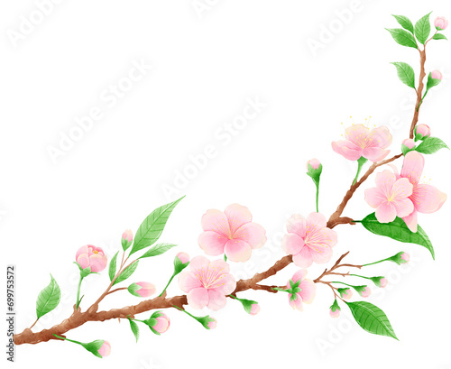 Watercolor hand drawn illustration of Cherry Blossom sakura frames wreaths border spring time pink blooming flowers