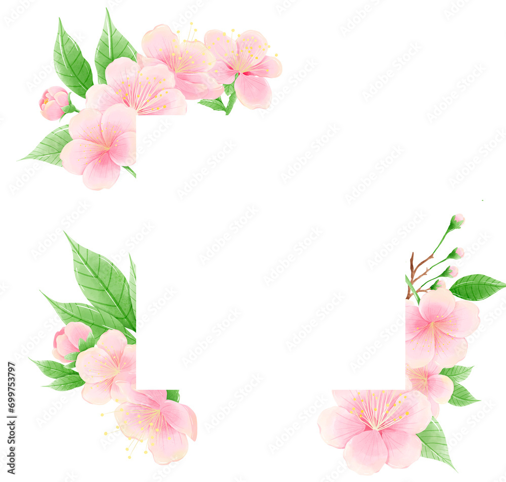 Watercolor hand drawn illustration of Cherry Blossom sakura frames wreaths border spring time pink blooming flowers