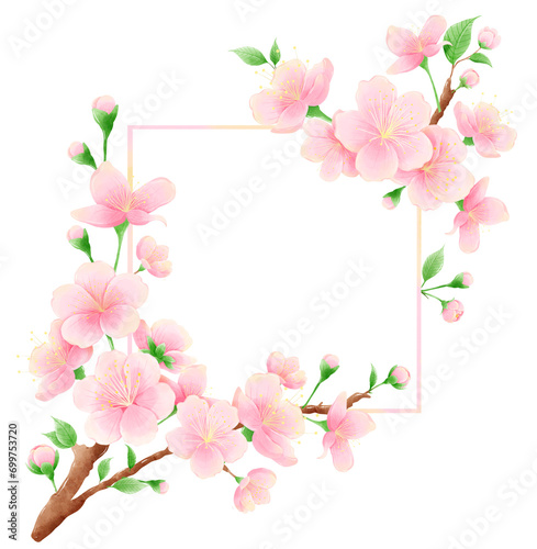 Watercolor hand drawn illustration of Cherry Blossom sakura frames wreaths border spring time pink blooming flowers