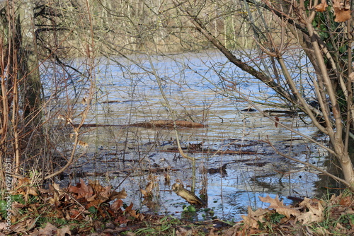 Slight flooding on the Main in Frankfurt - Germany