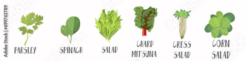 Vector vegetables icons set in cartoon style. Collection farm product for restaurant menu, market label.