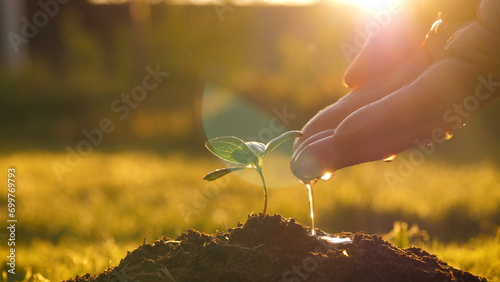 Close up of gardner hand watering small green sprout tree planted in fertile ground. Drops of water pouring on leaves against warm sun shine rays at sunset, new life of young seedling reforestation