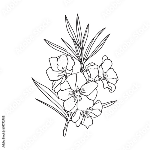 Decorative abstract oleander hand-drawn flower bouquet of line art design. Easy sketch art of Oleander flower outline.
