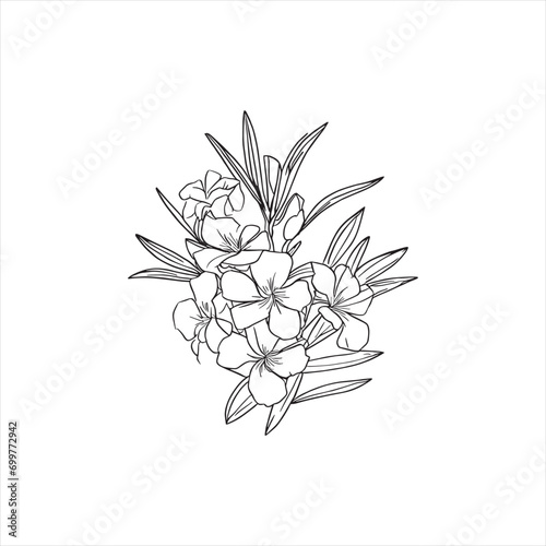 Decorative abstract oleander hand-drawn flower bouquet of line art design. Easy sketch art of Oleander flower outline.
