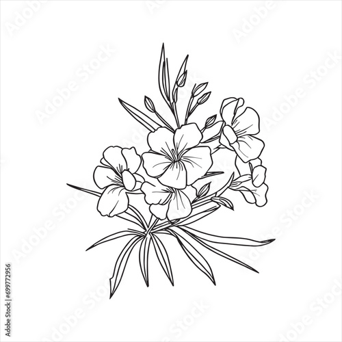 Decorative abstract oleander hand-drawn flower bouquet of line art design. Easy sketch art of Oleander flower outline.
 photo