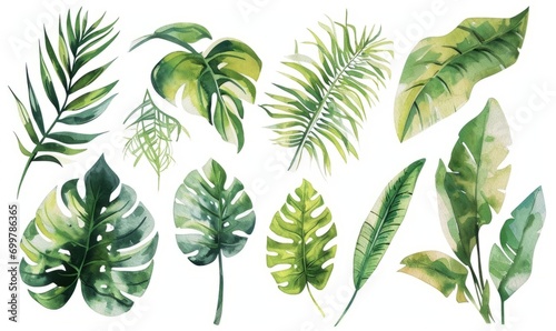 Verdant Vibrance: Tropical Watercolor Leaves
