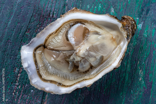 Close up of single oyester open on green wooden backgrond : gourmet macro food photography photo