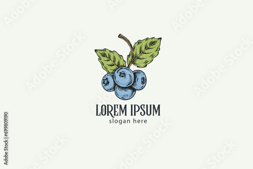 hand-drawn colorful blueberry with leaf logo design, illustration retro style, vintage logo design