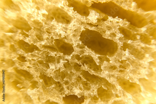 Wheat bread under a microscope. The concept of healthy eating.