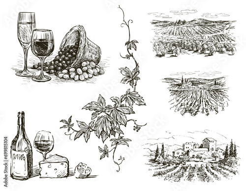Hand drawn illustration of grape vineyard landscapes, still life, bottle of wine, wine glasses, cheese piece, lemon, grapevine branch with leaves and tendrils,ripe grape berries bunch, basket, doodles