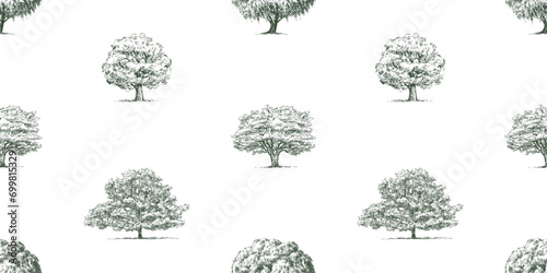 Seamless vector background of sketches silhouettes different deciduous trees willow, oak, maple, linden with lush foliage in summer, hand drawn pattern for wallpaper, paper