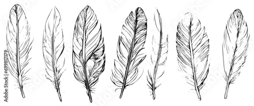 Set of bird feathers. Hand drawn illustration converted to vector. Outline with transparent background