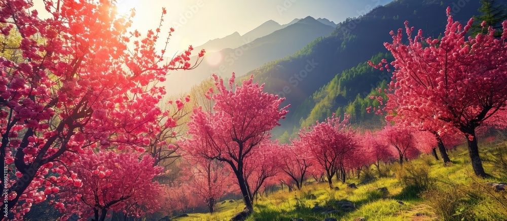 Colorful nature during spring
