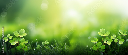 minimalistic Lucky green clover and nature background, with empty copy space, luck, St Patrick day, happy new year  photo