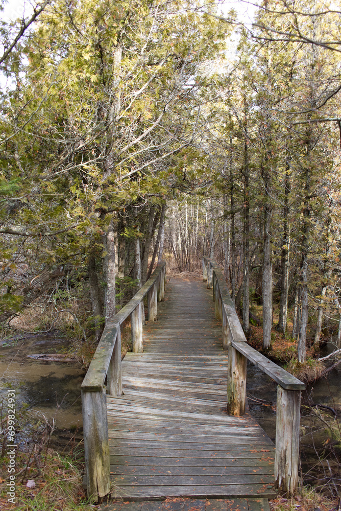 Crooked Boardwalk Crooked Boardwalk