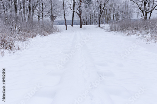 a snowy wooden boardwalk in a forest or swamp © Photo by ERIKS ROZE