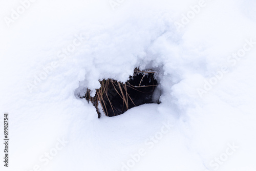 a small hole or cave in the snow