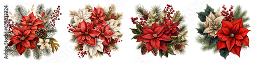 pine twigs and poinsettia flowers Hyperrealistic Highly Detailed Isolated On Transparent Background Png File
