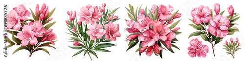 Pink oleander flowers and leaves Hyperrealistic Highly Detailed Isolated On Transparent Background Png File